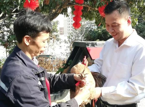 自養(yǎng)土雞