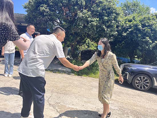縣領導視察