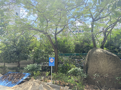 銓冠植被.jpg